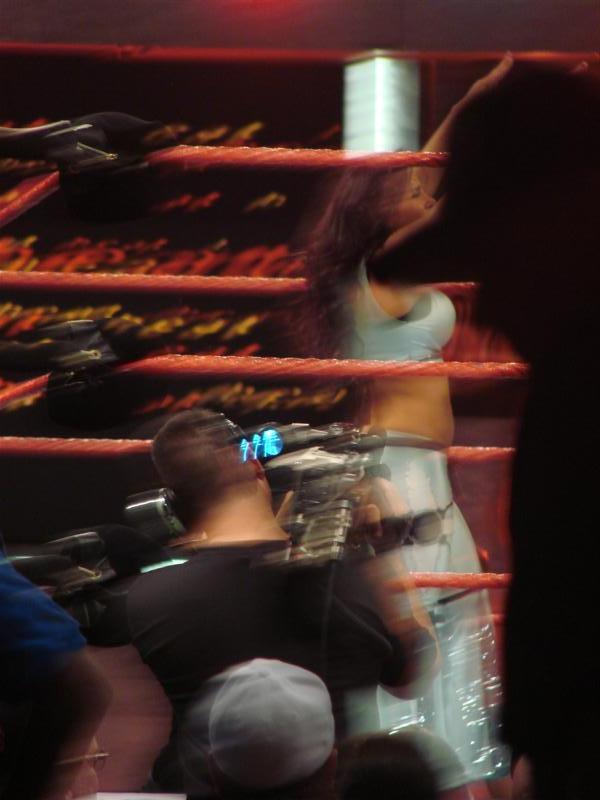Mickie-James-WWE