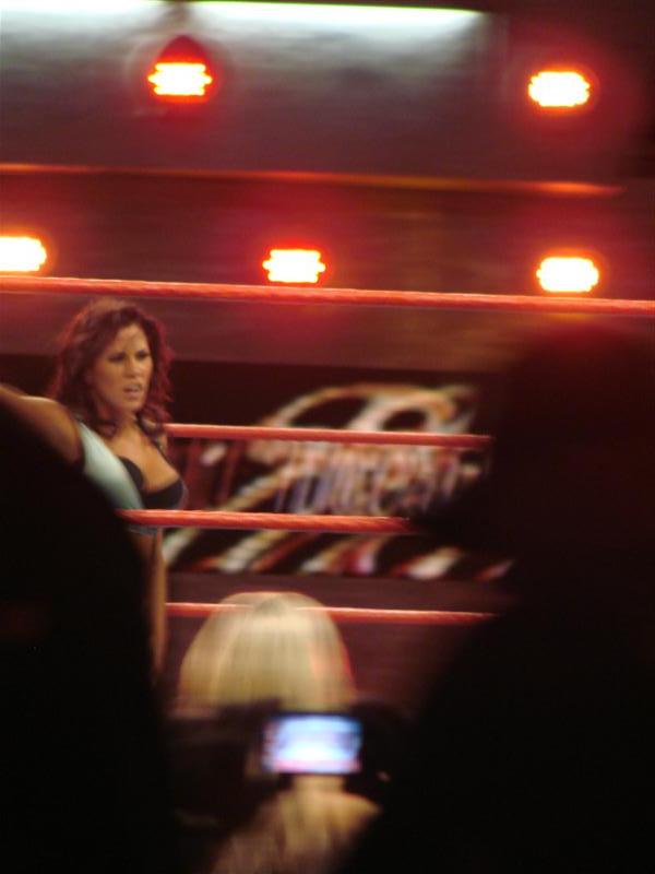 Mickie-James-WWE