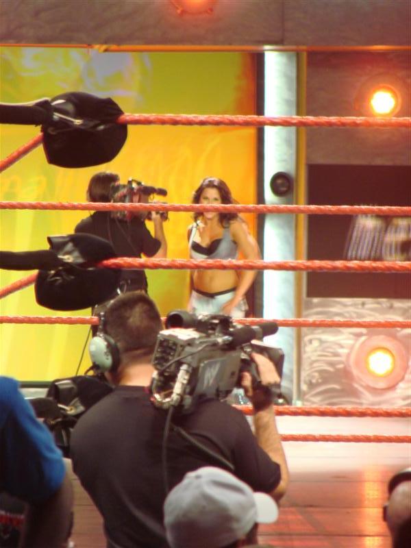 Mickie-James-WWE