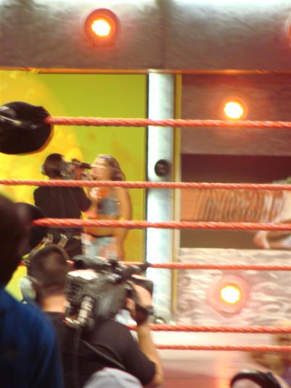 Mickie-James-WWE