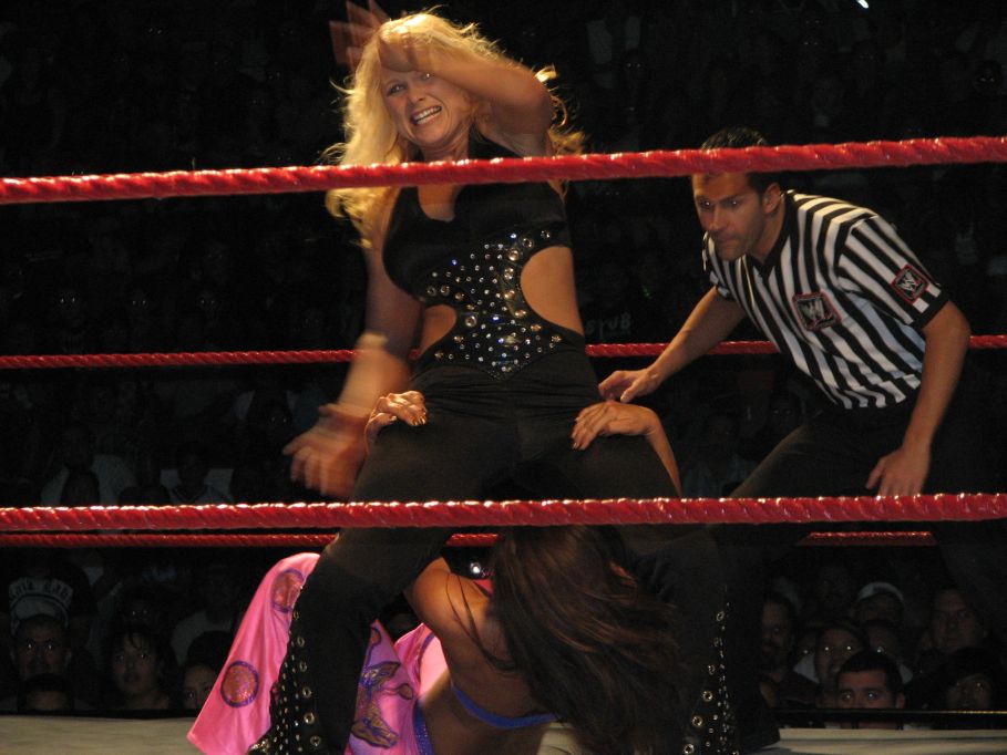 Mickie-James-WWE