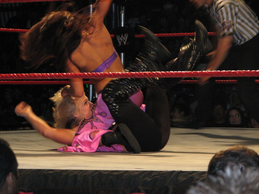 Mickie-James-WWE