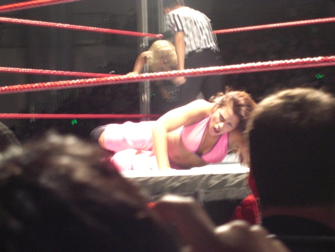 Mickie-James-WWE