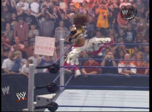 Mickie-James-WWE