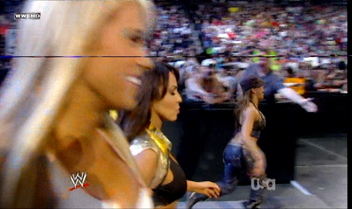 Mickie-James-WWE