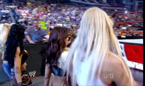 Mickie-James-WWE