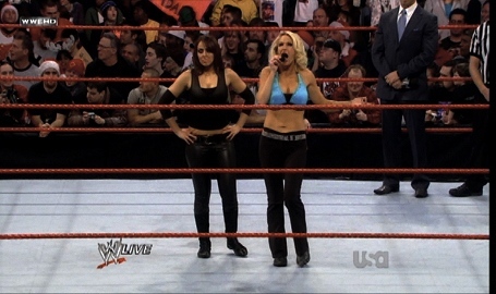Mickie-James-WWE