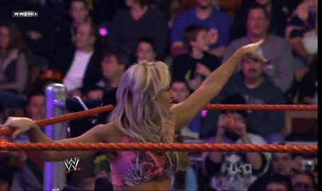 Mickie-James-WWE