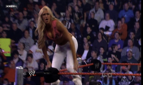 Mickie-James-WWE