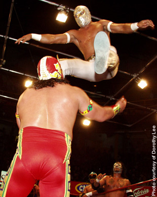 sin cara wwe wrestler. sin cara wwe wrestler. sin cara wwe wrestler.