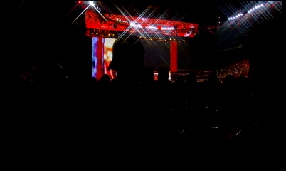 Ric-Flair