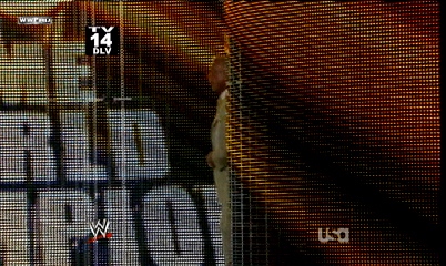 Ric-Flair