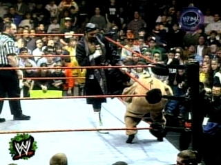 Sable-WWE