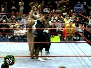 Sable-WWE