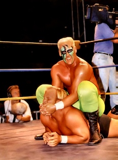 Sting-TNA