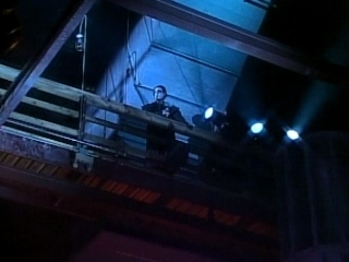 Sting