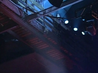 Sting