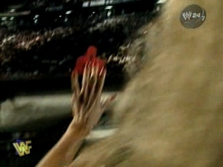 Sunny-Wrestling