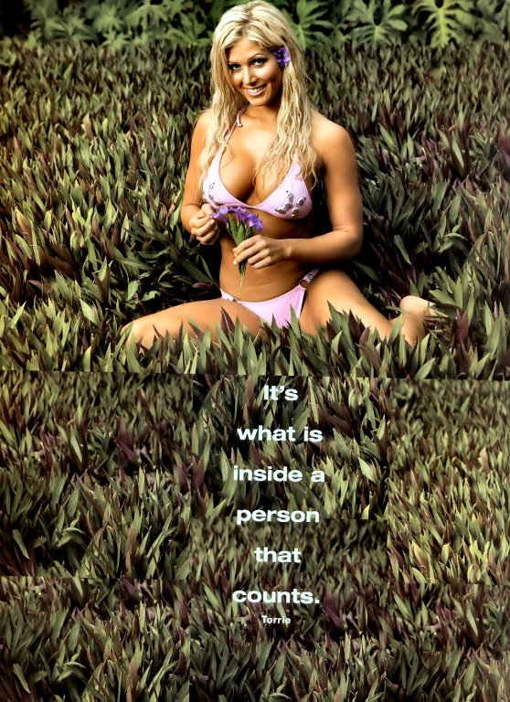 Torrie-Wilson-WWE