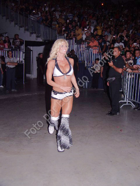 Torrie-Wilson-WWE