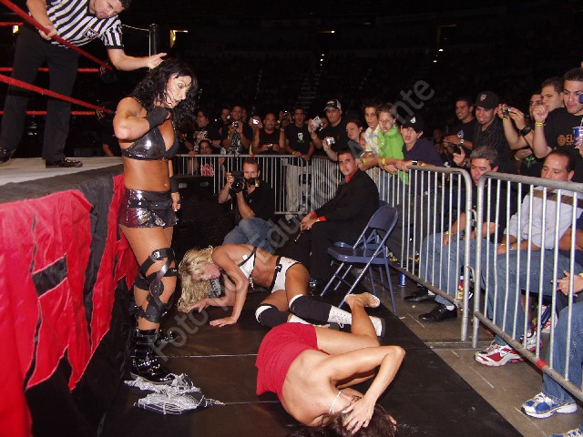 Torrie-Wilson-WWE