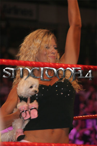 Torrie-Wilson-WWE