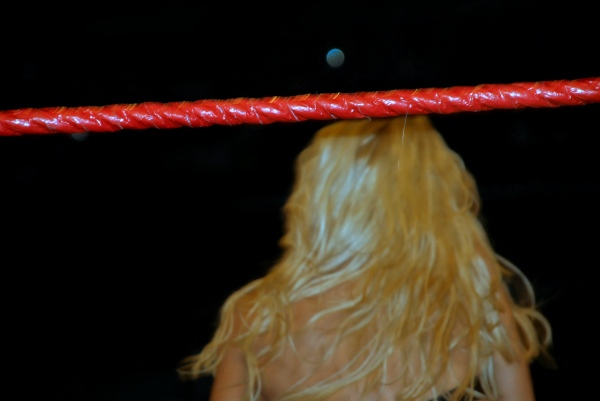 Torrie-Wilson-WWE