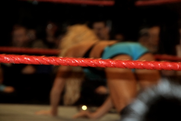 Torrie-Wilson-WWE