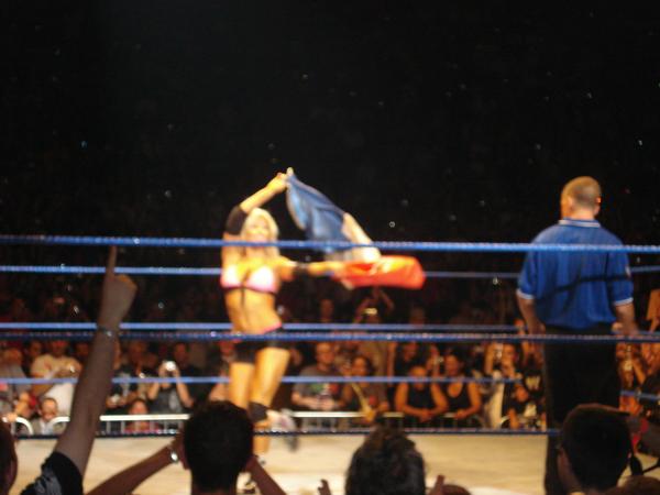 Torrie-Wilson-WWE