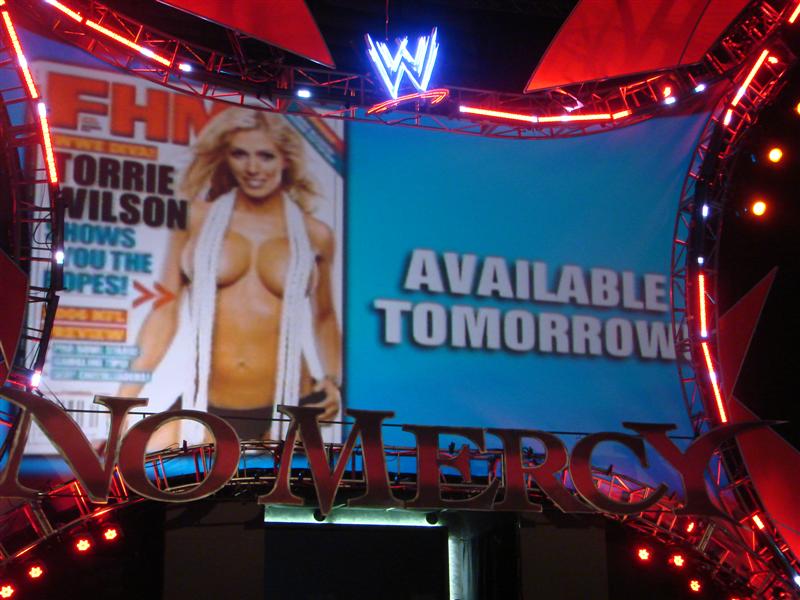 Torrie-Wilson-WWE