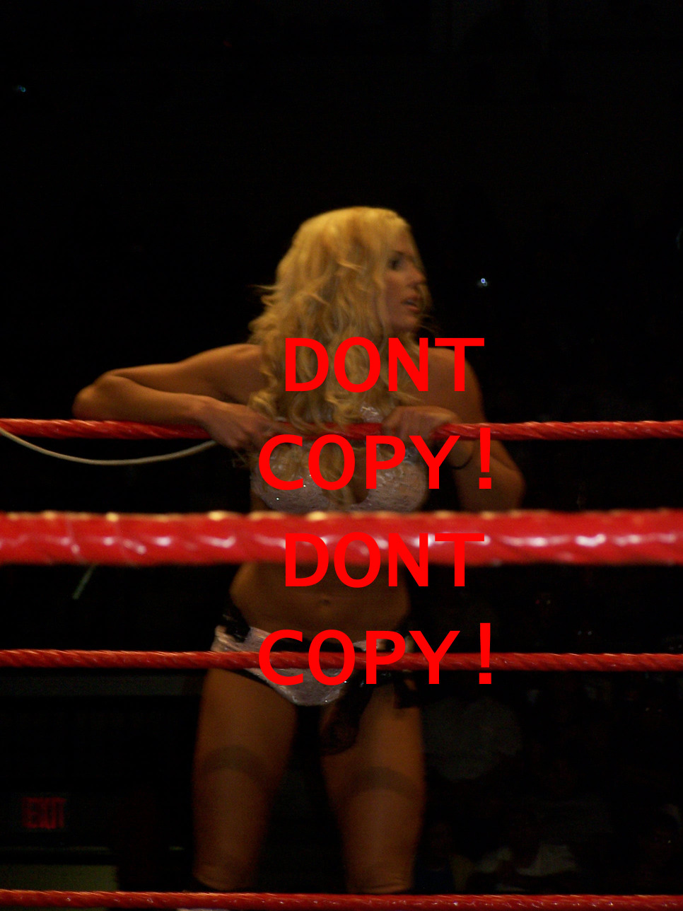 Torrie-Wilson-WWE