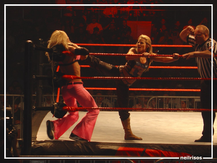 Torrie-Wilson-WWE