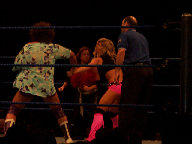 Torrie-Wilson-WWE