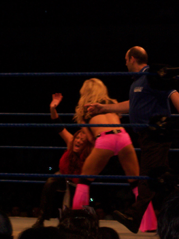 Torrie-Wilson-WWE