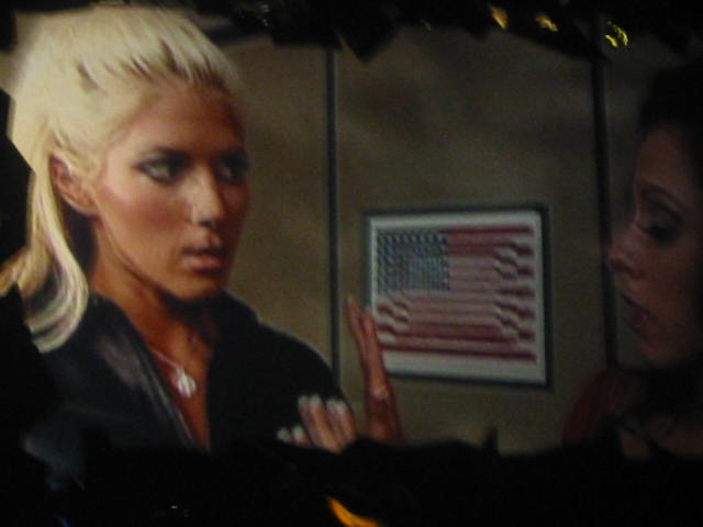 Torrie-Wilson-WWE