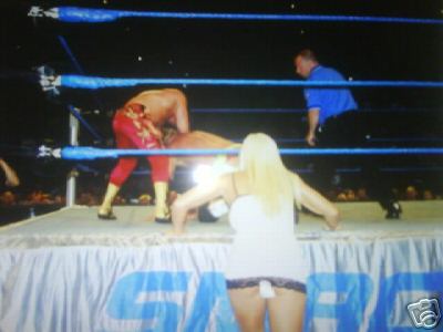 Torrie-Wilson-WWE