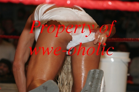 Torrie-Wilson-WWE