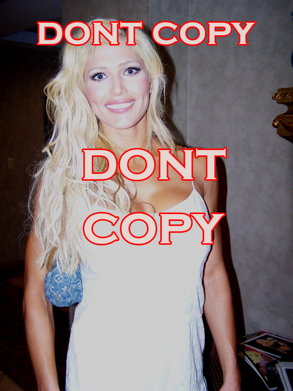 Torrie-Wilson-WWE