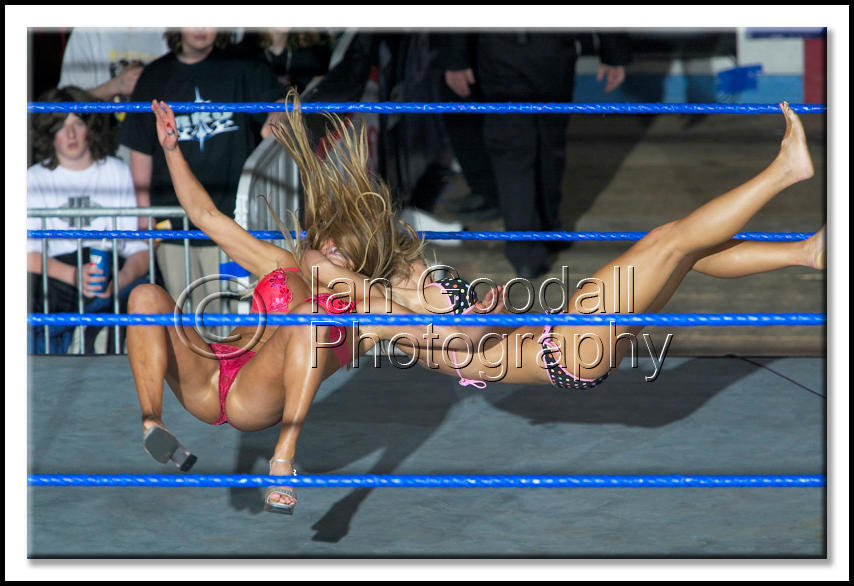 Torrie-Wilson-WWE