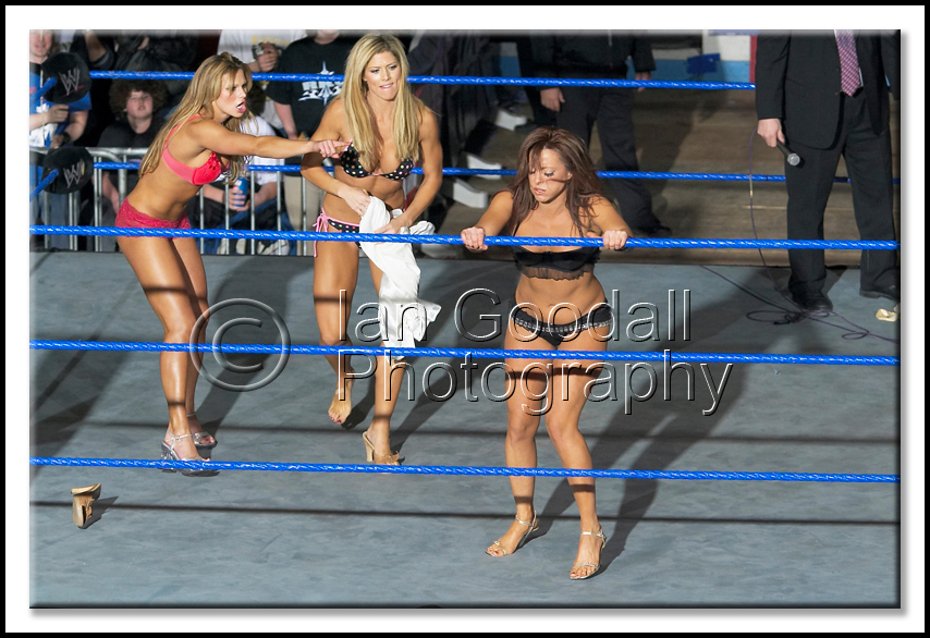 Torrie-Wilson-WWE