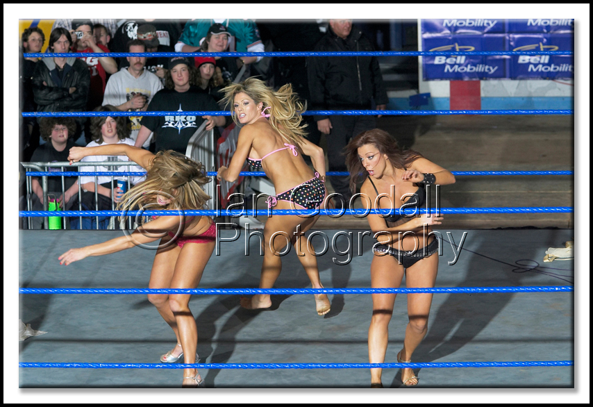 Torrie-Wilson-WWE
