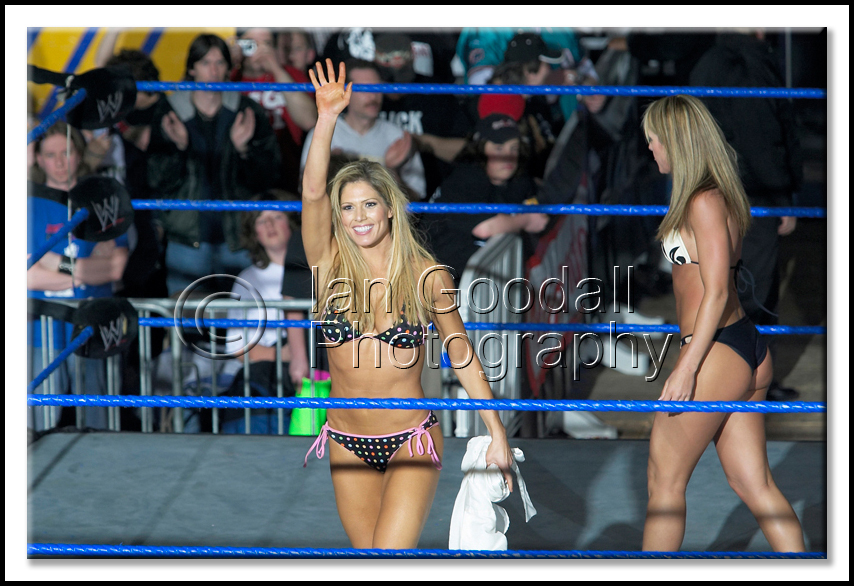 Torrie-Wilson-WWE