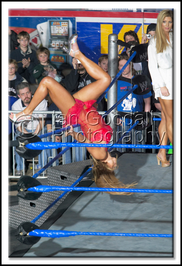Torrie-Wilson-WWE