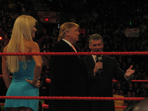 Torrie-Wilson-WWE