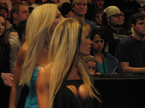 Torrie-Wilson-WWE