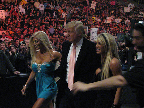 Torrie-Wilson-WWE