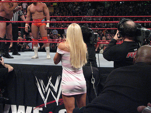 Torrie-Wilson-WWE