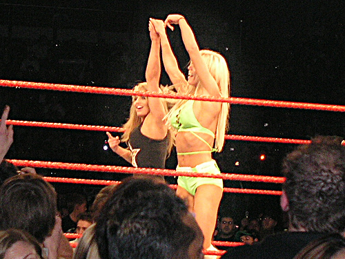 Torrie-Wilson-WWE