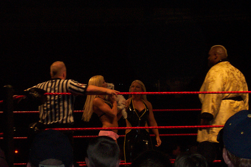Torrie-Wilson-WWE