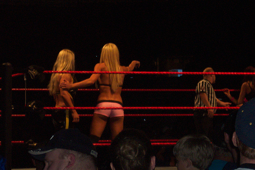 Torrie-Wilson-WWE